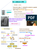 Tema 18 Virus Animales Arn