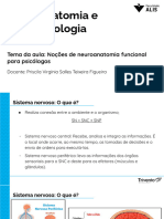 AULA 3 - Neuroanatomia (Slides)