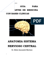 TEXTO GUIA PARA ESTUDIANTES DE MEDICINA CON BASES CLINICAS NEUROANATOMIA 2023 DR Edwin Amonzabel