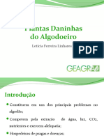 8 Let Plantasdaninhas Wordpress 141015212108 Conversion Gate02