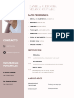 Curriculum Vitae A4 CV Personalizable Boho Femenino Profesional Rosa Pastel