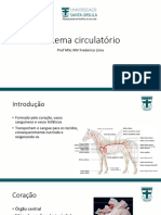 Sistema Cardiovascular