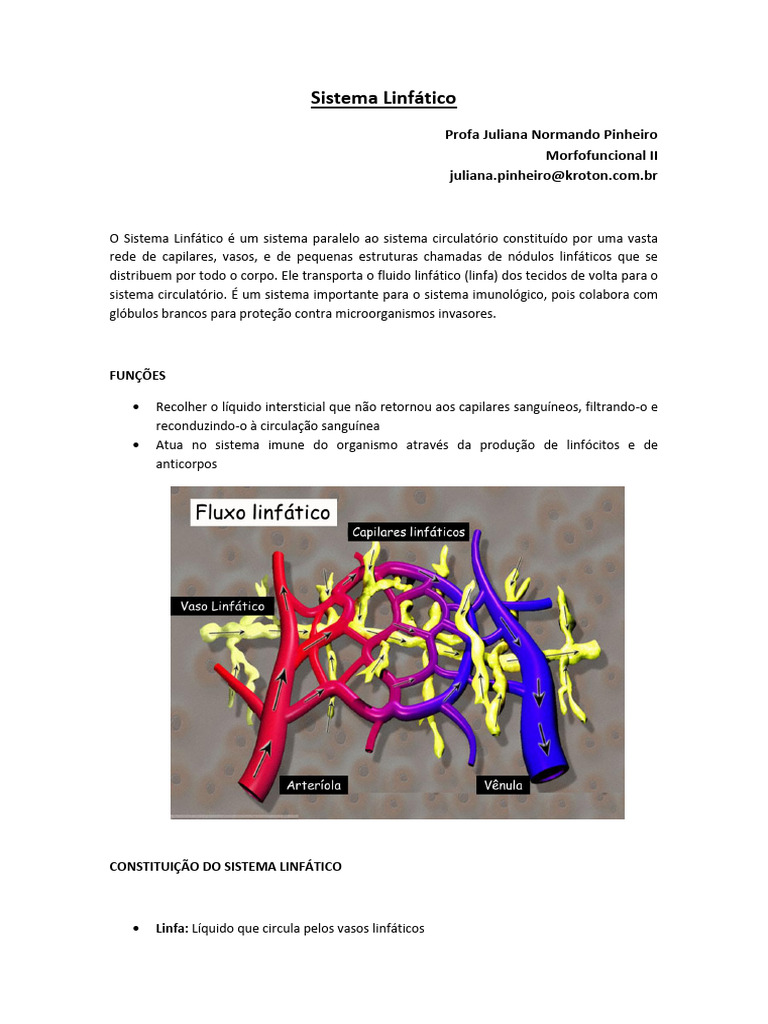 Sistema Linfatico Pdf Sistema Linfático Linfa