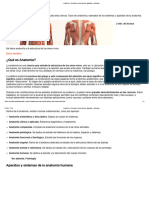 Anatomía - Concepto, Subdivisiones, Aparatos y Sistemas