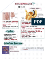 Examen Segundo Trimestre Tbe Parte 2