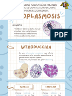 Patogenia (Piroplasmosis)
