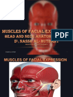 10th H&N ANATOMICAL LAB D.NASSR ALHUTBANY MUSCLES OF FACIAL EXPRESSION 2024