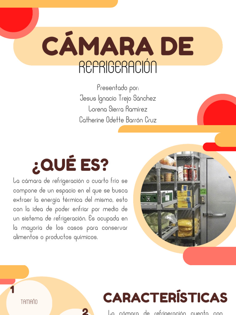 Acomodo de Alimentos en Cámara Fría | PDF | Refrigeración | Química