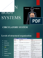 Human Body Systems - Circulatory System-3