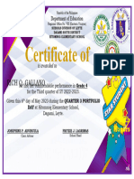 Certificate For Portfolio DayBLANK