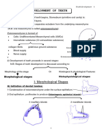 2 Tooth Development 1 Notes