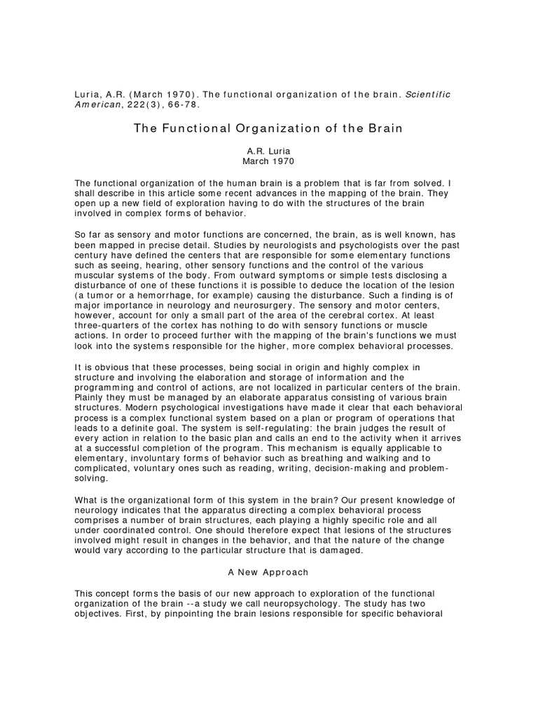 Brain Functional Organization Insights | PDF | Brain | Cerebral Cortex