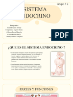 Sistema Endocrino