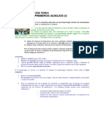 EIN PPAA03 OTU R01 SolucionTarea