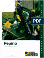 PEPINO