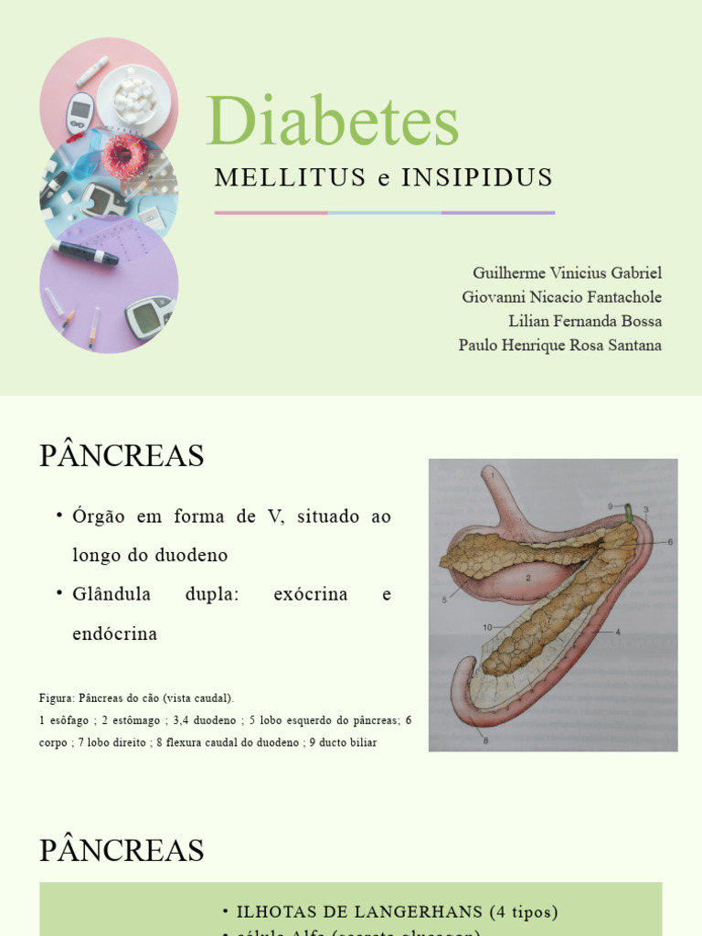 DIABETES MELLITUS e INSIPIDUS | PDF | Pâncreas | Diabetes
