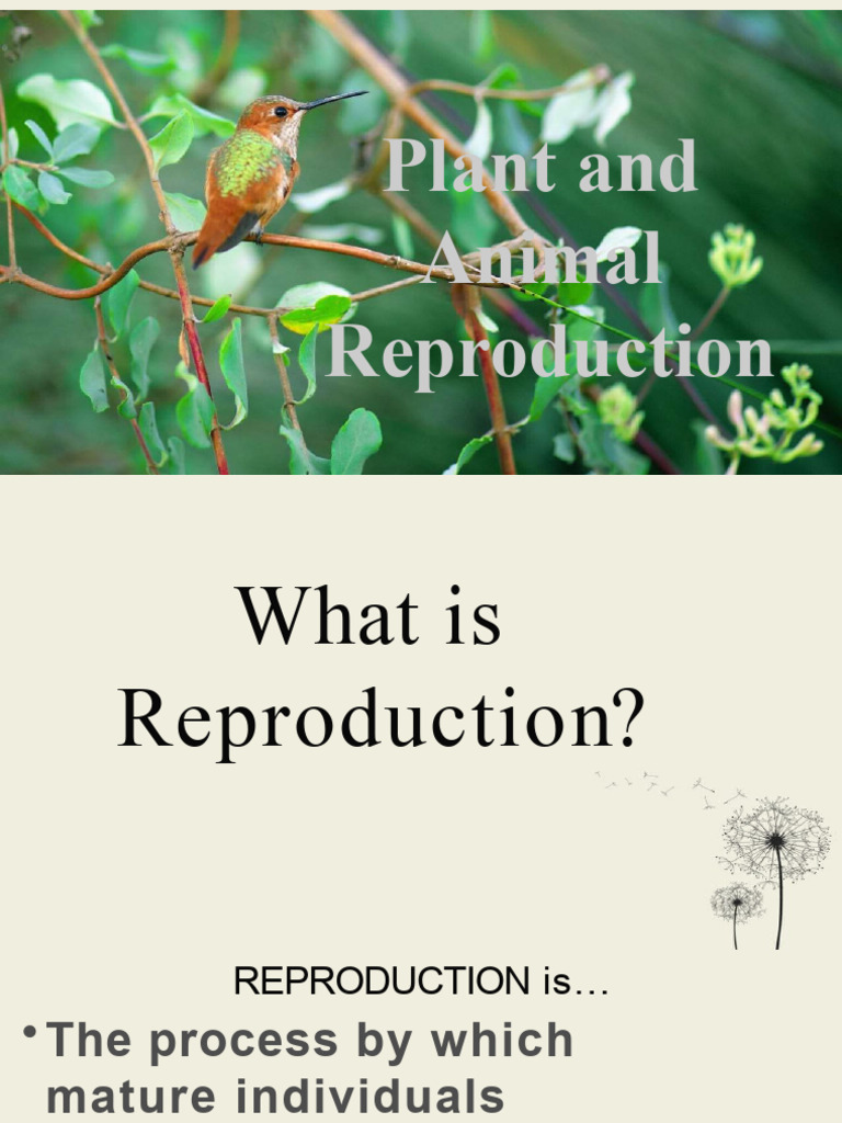 Plant and Animal Reproduction Overview | PDF | Sexual Reproduction ...