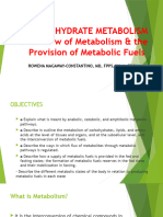 Carbohydrate Metabolism Provision of Fuels