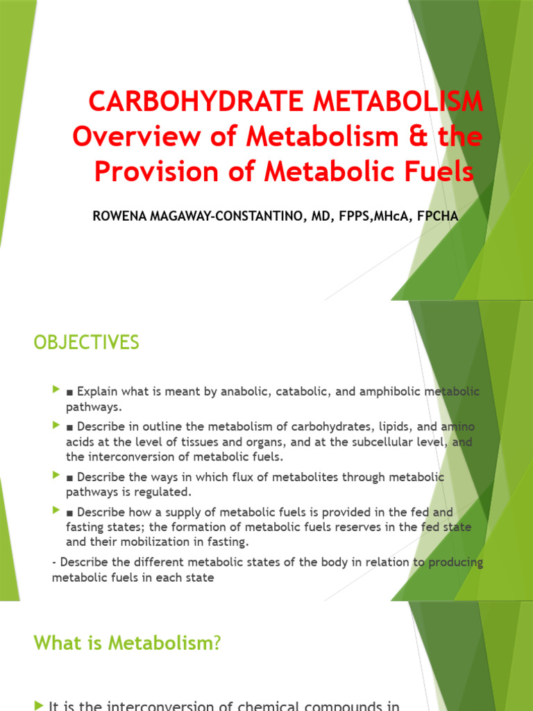 Metabolic Pathways of Fuels | PDF | Metabolism | Metabolic Pathway