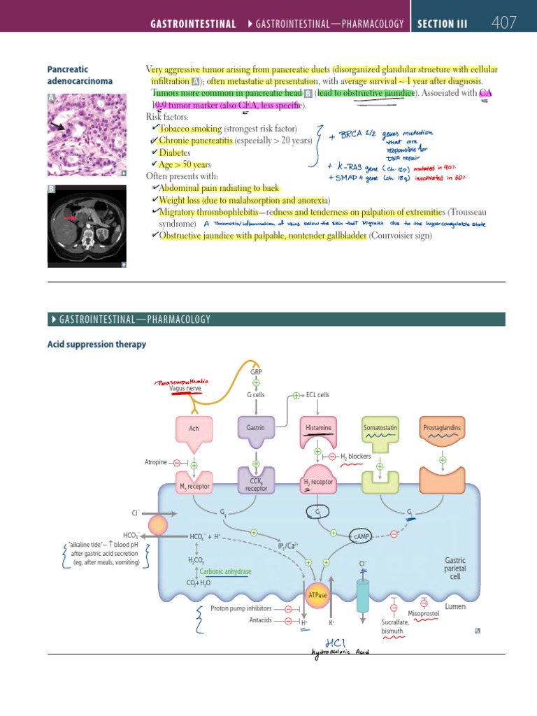 Pharmacology Pdf Diseases And Disorders Medical Specialties