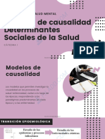 Practico 2 - Modelos de Causalidad Determinantes Sociales de La Salud