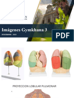 Imágenes Gymkhana 3