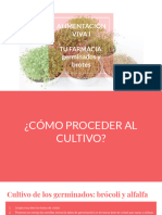 ALIMENTACIÓN VIVA I TU FARMACIA - Germinados y Brotes