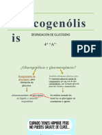 Glucogenolisis