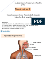 Clase 4 Te+ Rico A Vias Aereas Superiories Ap de La Fonacion Musculos de La Fonacion