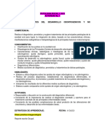 Reporte Imagenología PBI-2023