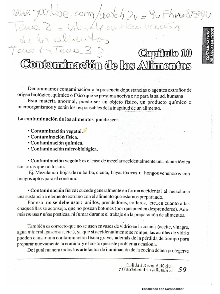 Contaminación de Los Alimentos | PDF