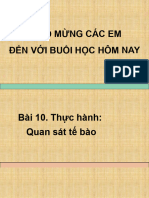 Bai 10 - Thuc Hanh Quan Sat Te Bao - CTST