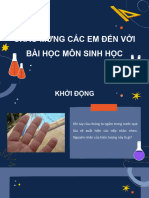 Bai 11 - Van Chuyen Cac Chat Qua Mang Sinh Chat - CTST