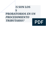 Medios Probatorios en Un Procedimiento de Fiscalización