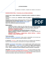 Temas Teóricos - Neurologia - Módulo C - Anatomia Catedra 1 Uba - Examen Oral