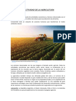 La Actividad de La Agricultura