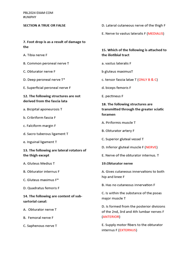 Lower Limb Anatomy Solved Pdf Human Leg Soft Tissue