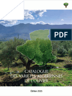 Catalogue Des Variétés D'oliviers D'algérie 2023 Compressed