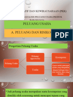 Peluang Usaha