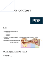 Ear Anatomy1