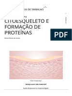 Citosol, Citoesqueleto E Formação de Proteínas: Foco No Mercado de Trabalho