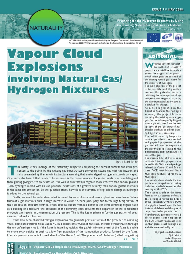 Hydrogen Delivery via Natural Gas System | PDF | Natural Gas | Explosion