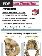 Dental Anatomy and Types of Teeth | PDF | Dental Anatomy | Tooth