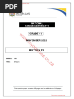 English FAL Grade 11 P2 June 2025 | PDF