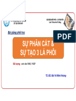 Sự Phân Cắt & Sự Tạo 3 Lá Phôi