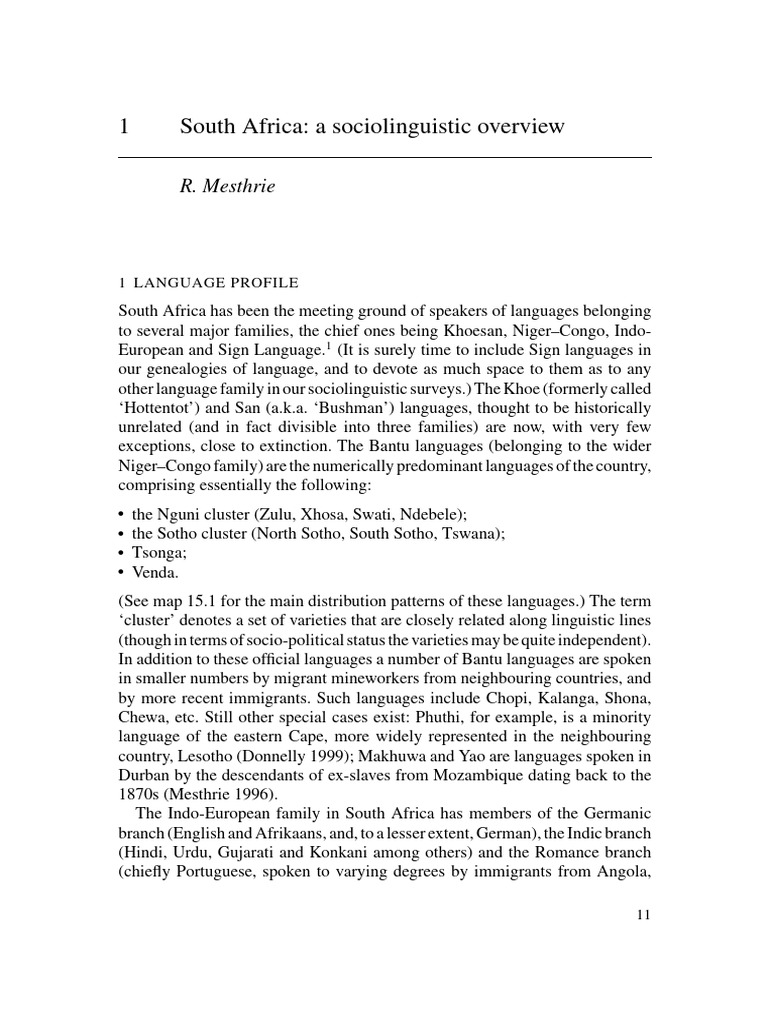 South Africa's Linguistic Diversity | PDF | Linguistics | Africa