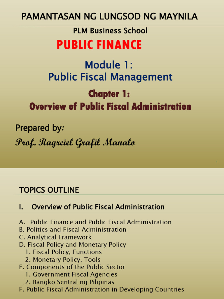 Overview of Public Fiscal Administration | PDF | Cost Of Living | Inflation