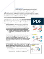 Boron Notater Endokrinologi