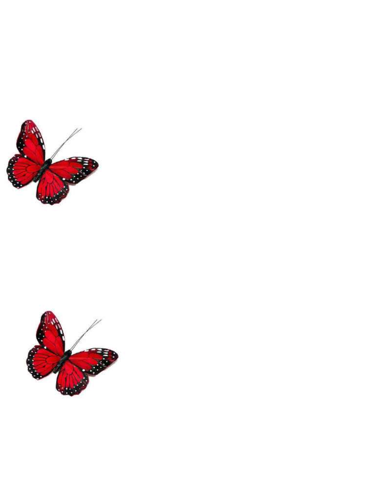 Butterfly | PDF