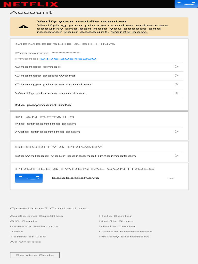Account Settings Netflix PDF